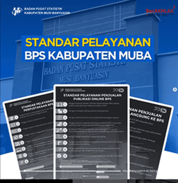 BPS-Statistics Musi Banyuasin Regency Service Standards