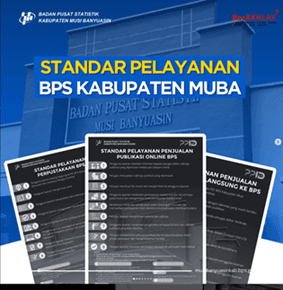 BPS-Statistics Musi Banyuasin Regency Service Standards