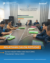 PELATIHAN SURVEI VIMK TRIWULANAN 2024